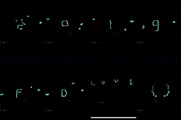 1566184694623056qVJM.jpg wh7.jpg