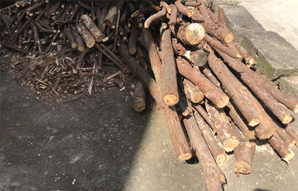 1566979284464184ubNS.jpg ax7.jpg